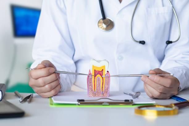 Best Emergency Broken Tooth Repair in Nooksack, WA